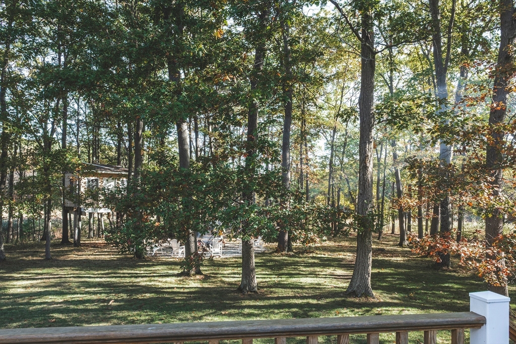 8 Old Essex Road Ipswich, MA 01938 - Photo 40 of 42 a view of a yard with large trees