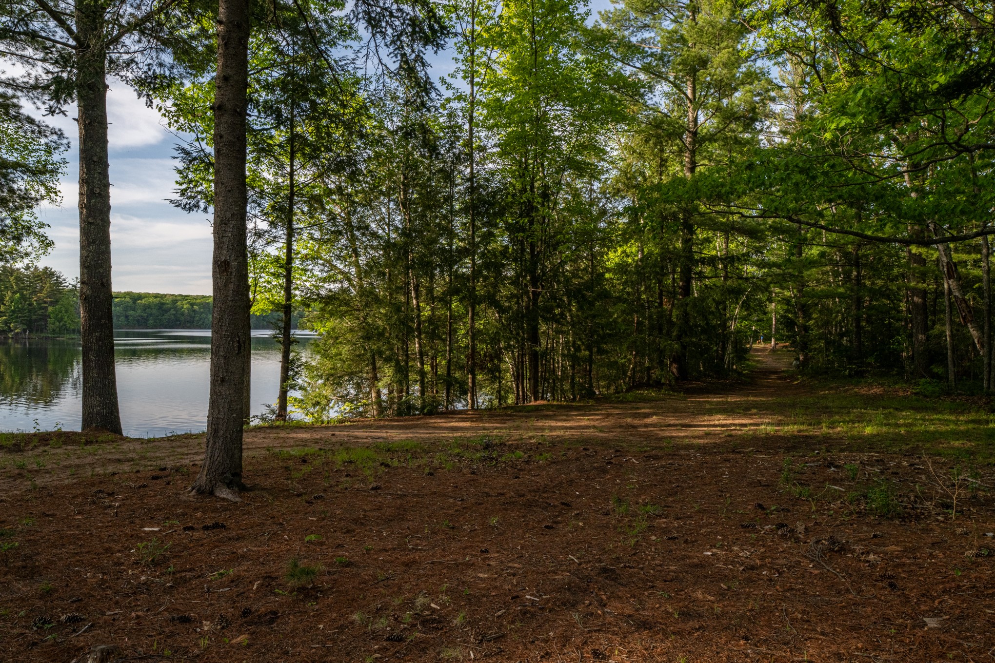9710 West Chippewa Flowage Road Couderay, WI 54828 - Photo 46 of 60