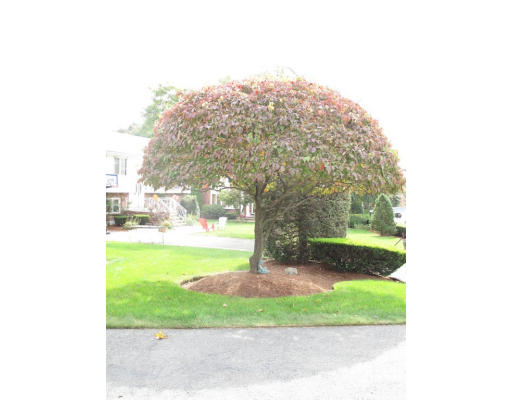 20 Doane Road Medford, MA 02155 - Photo 6 of 16 Gallery Image 6
