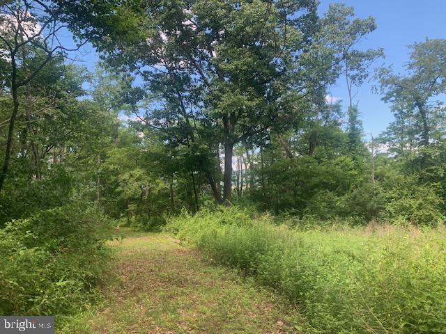 5353 Cito Road McConnellsburg, PA 17233 - Photo 2 of 15 Road through the property to view wooded lot