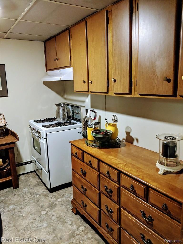 1249 Green Ridge Road Rochester, MI 48309 - Photo 33 of 38 Second kitchen in lower level