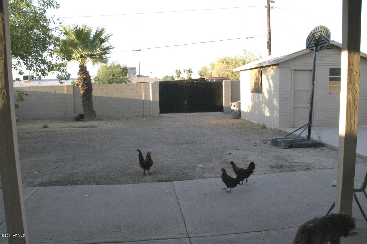738 East Roeser Road Phoenix, AZ 85040 - Photo 5 of 5 Backyard