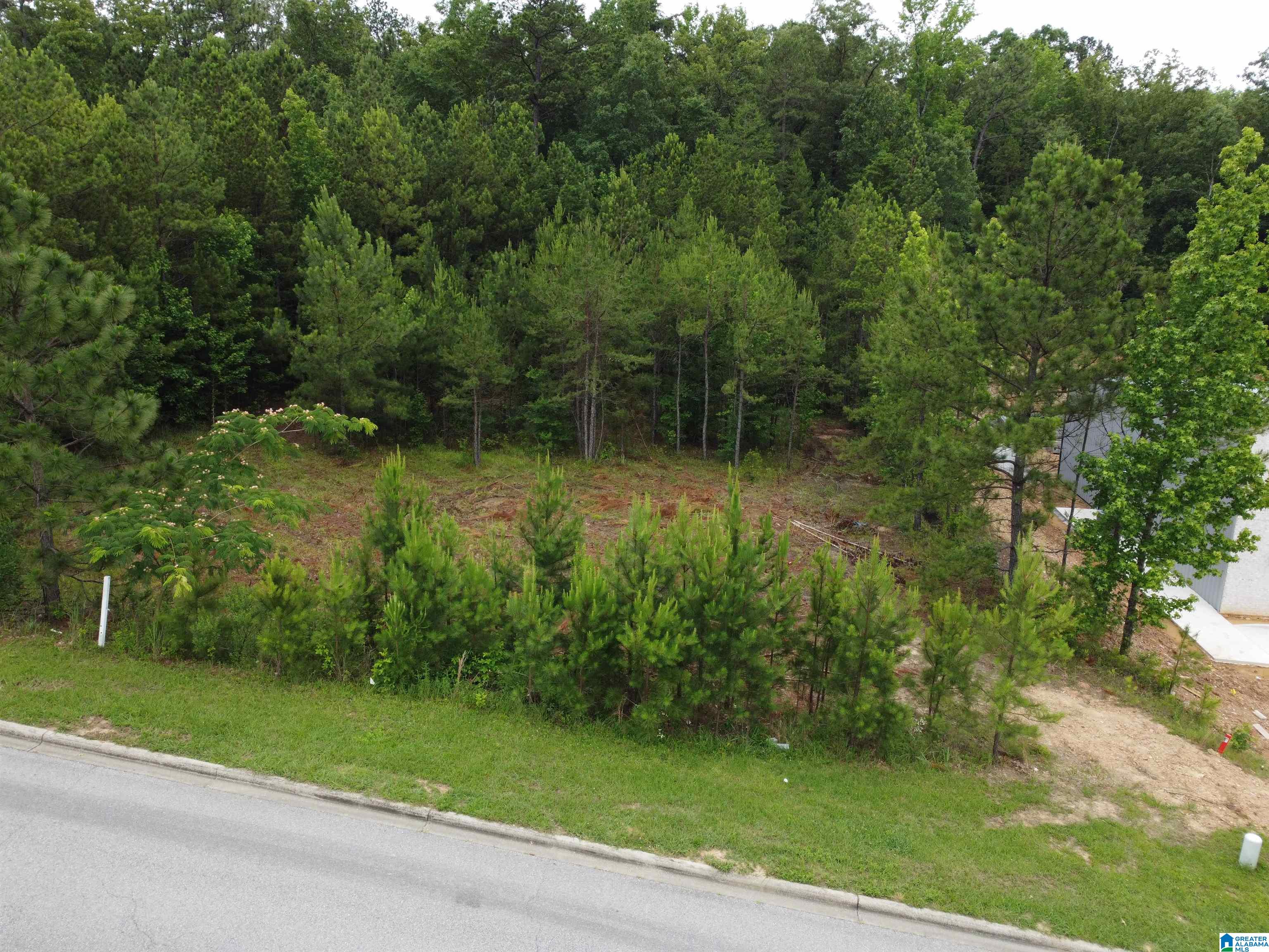 171 Applegate Trace, Unit 26 Pelham, AL 35124 - Photo 5 of 5