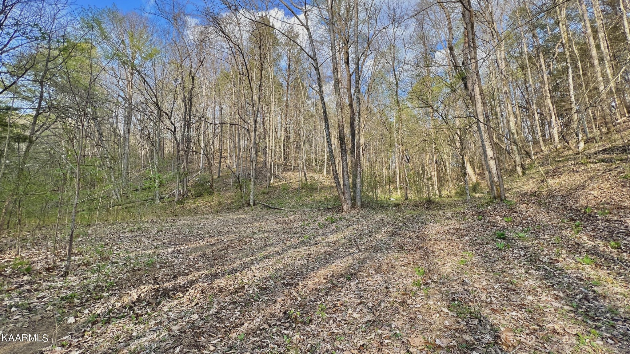 1560 Dripping Springs Road Seymour, TN 37865 - Photo 31 of 46