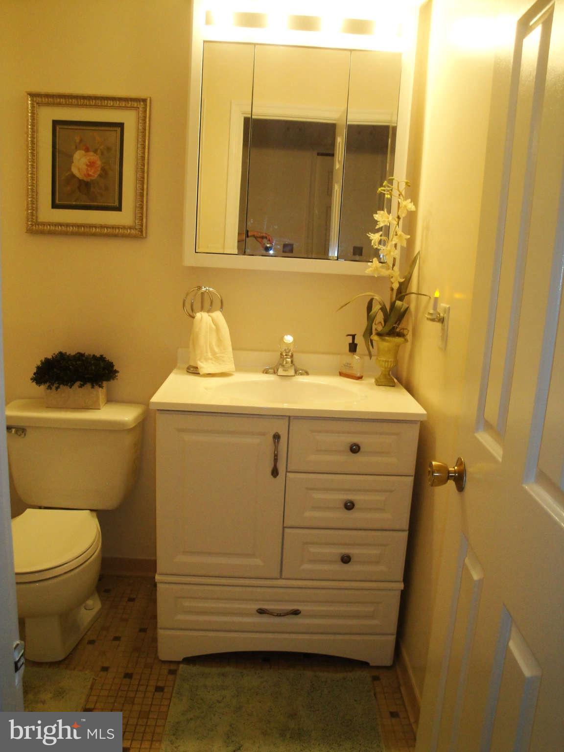 6406 Darwin Road Laurel, MD 20707 - Photo 11 of 22 a bathroom with a sink mirror vanity and toilet