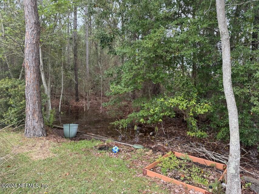 13959 Devan Lee Drive North Jacksonville, FL 32226 - Photo 8 of 62 IMG_1097