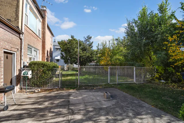 a view of a backyard with plants and large trees