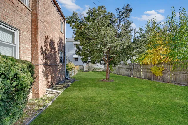 a view of a backyard with a tree