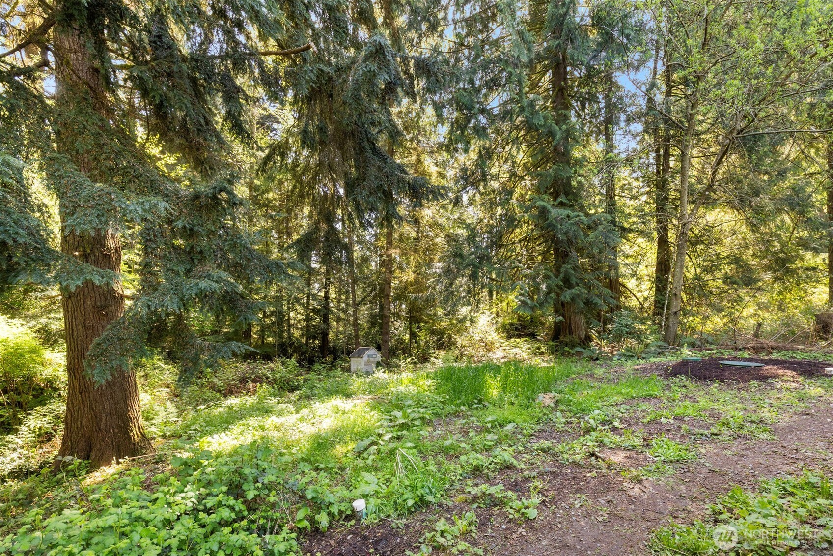 7831 Phillips Road Southeast Port Orchard, WA 98367 - Photo 19 of 24 Gallery Image 19