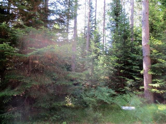 Lot 6-7 Murmuring Pnes Trail Rhinelander, WI 54501 - Photo 4 of 8 Gallery Image 4