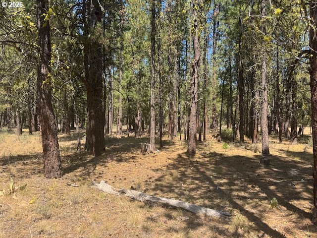 Whitetail Lane Sprague River, OR 97639 - Photo 12 of 27 Gallery Image 12