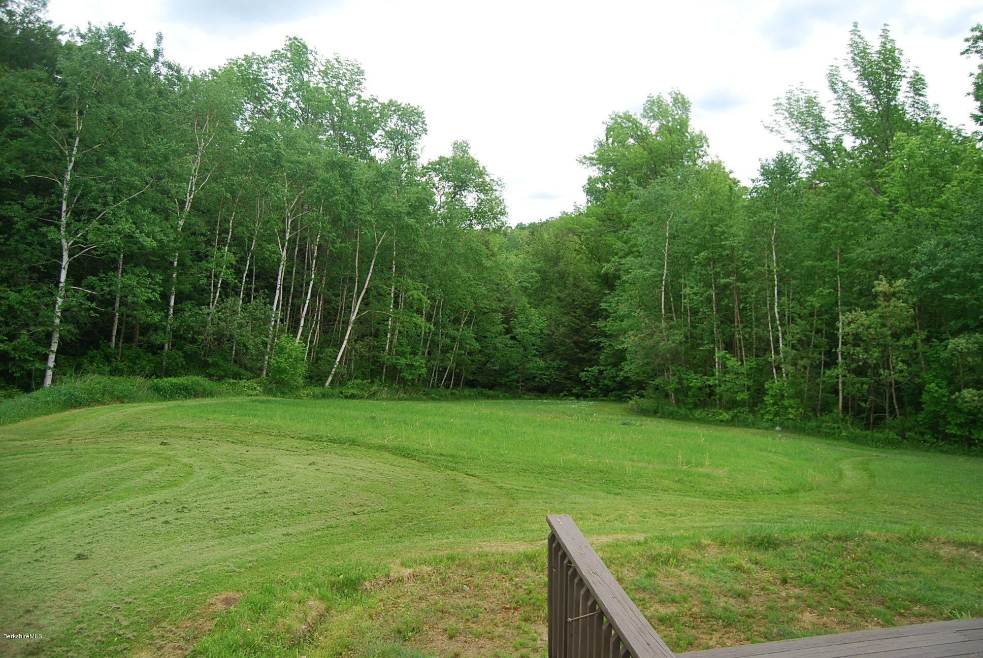 196 Chapel Road Savoy, MA 01256 - Photo 6 of 22 a view of a backyard with a trees