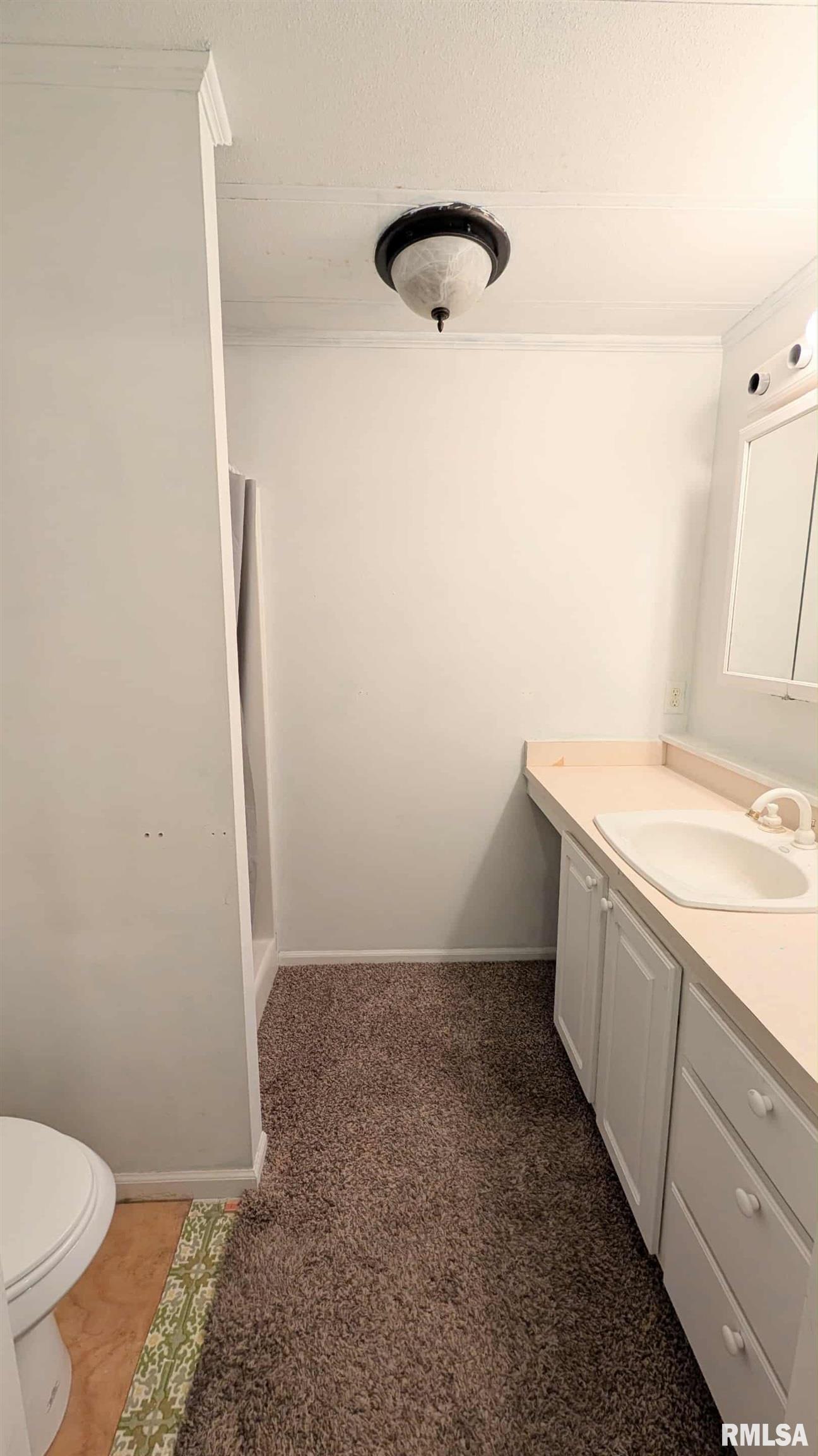 210 West Olive Street Minier, IL 61759 - Photo 22 of 26