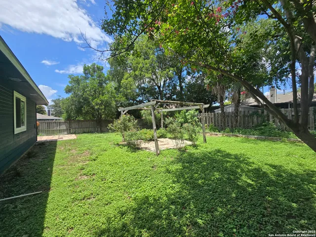 a view of backyard with a table and a large tree