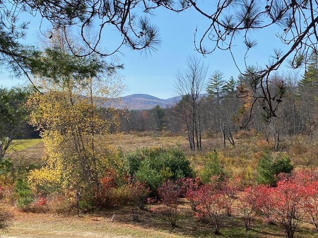 44 Pleasant View Road Bradford, NH 03221 - Photo 17 of 26