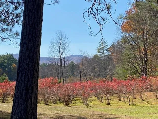 $479,500 | 44 Pleasant View Road, Bradford, NH 03221