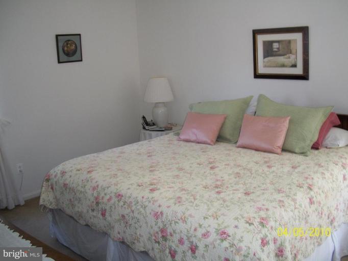 9812 Moyer Road Damascus, MD 20872 - Photo 17 of 19 Master Bedroom