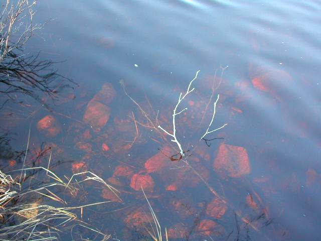 On On Little Papoose Road, Unit LT 5 Manitowish Waters, WI 54545 - Photo 5 of 6 Gallery Image 5