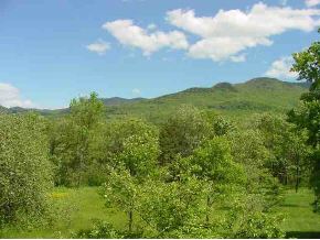 701 Covered Bridge Road Stowe, VT 05672 - Photo 2 of 9