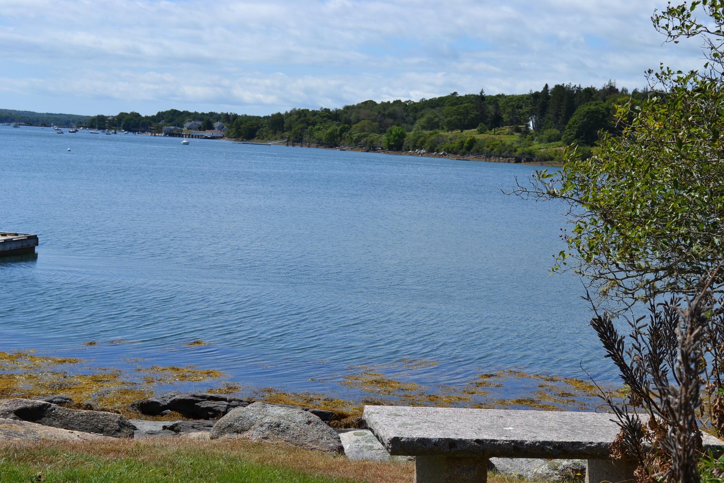 11 Bradley Shore Road Pemaquid, ME 04558 - Photo 57 of 57 DSC_0682
