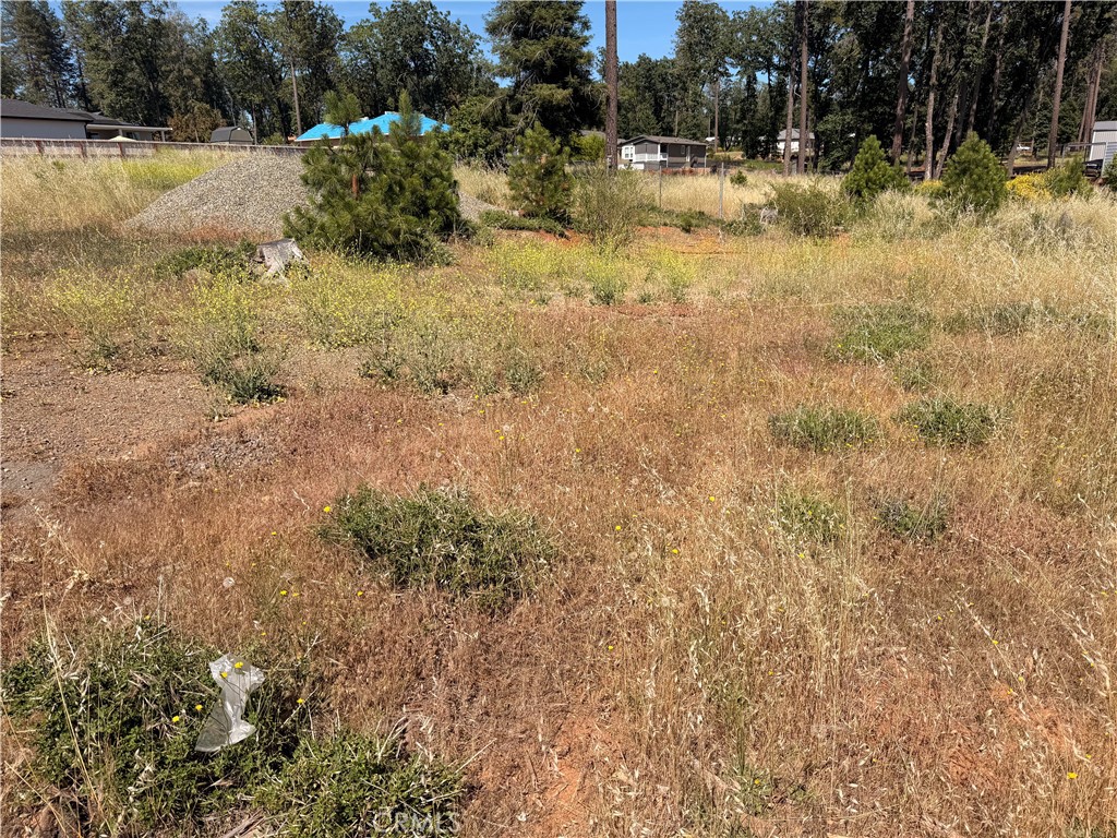 6378 Lucky John Road Paradise, CA 95969 - Photo 9 of 9