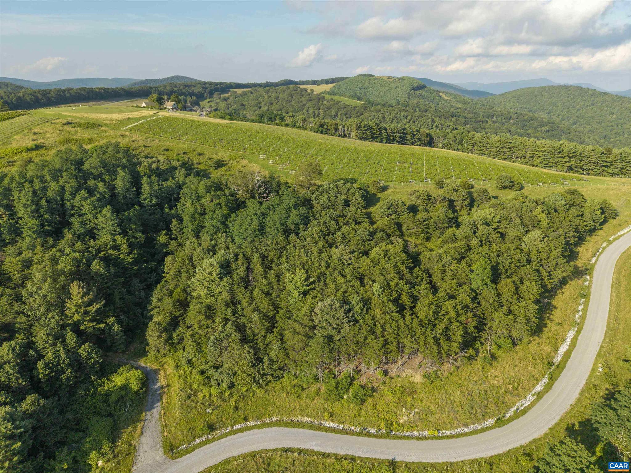 Lot 3 Twelve Rdgs Way, Unit 3 Vesuvius, VA 24483 - Photo 7 of 12
