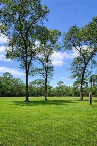 a view of a park with large trees