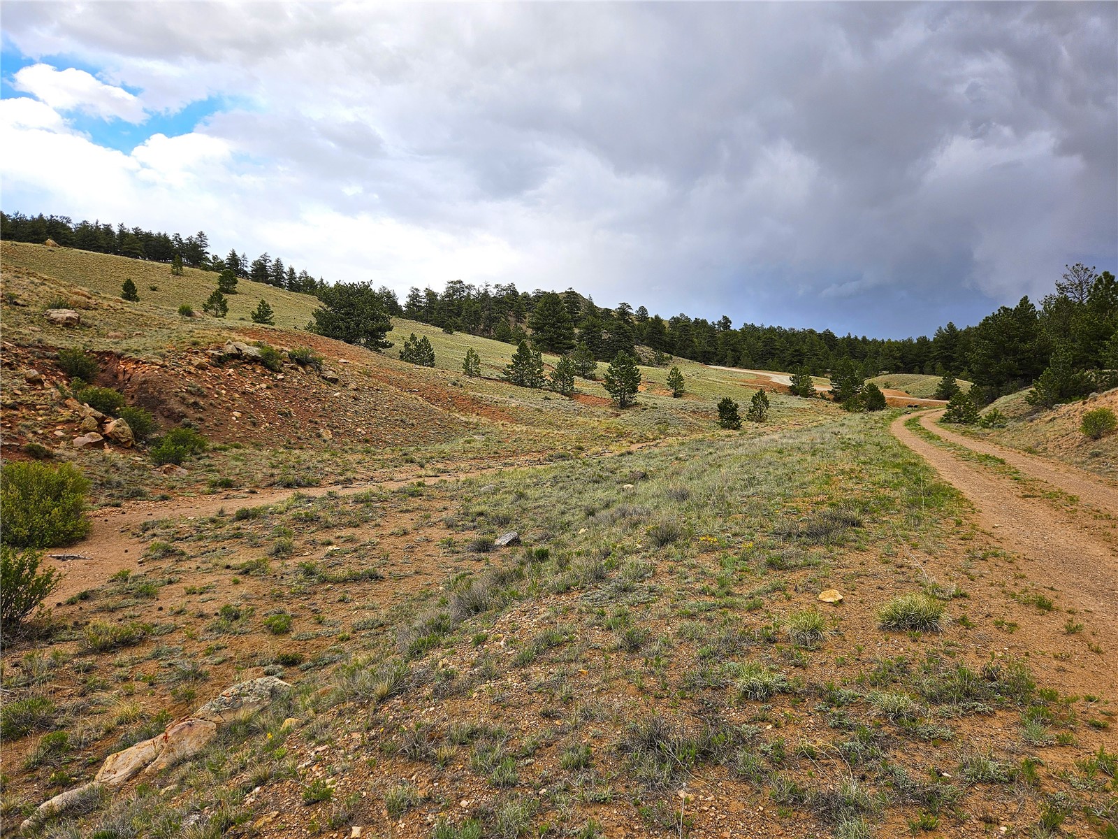 Pcs#25251 Fernando Trail Hartsel, CO 80449 - Photo 15 of 29