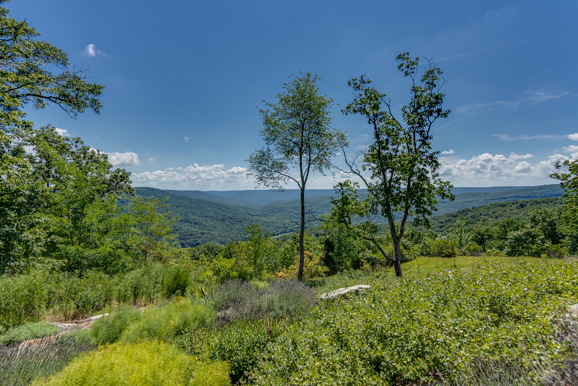 815 Myers Point Road Sewanee, TN 37375 - Photo 17 of 68 Gallery Image 17
