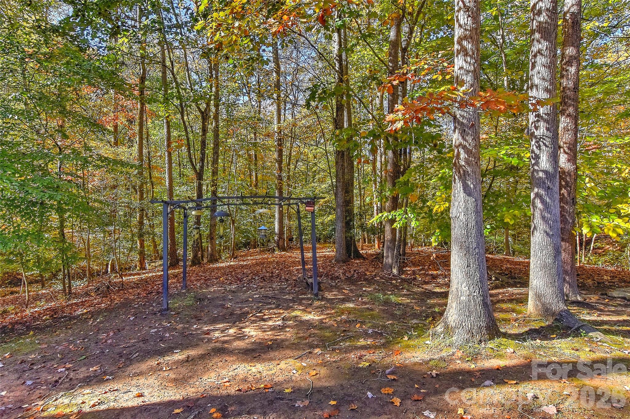 2287 Sweet Clover Way Denver, NC 28037 - Photo 39 of 44 a backyard of a house with lots of trees