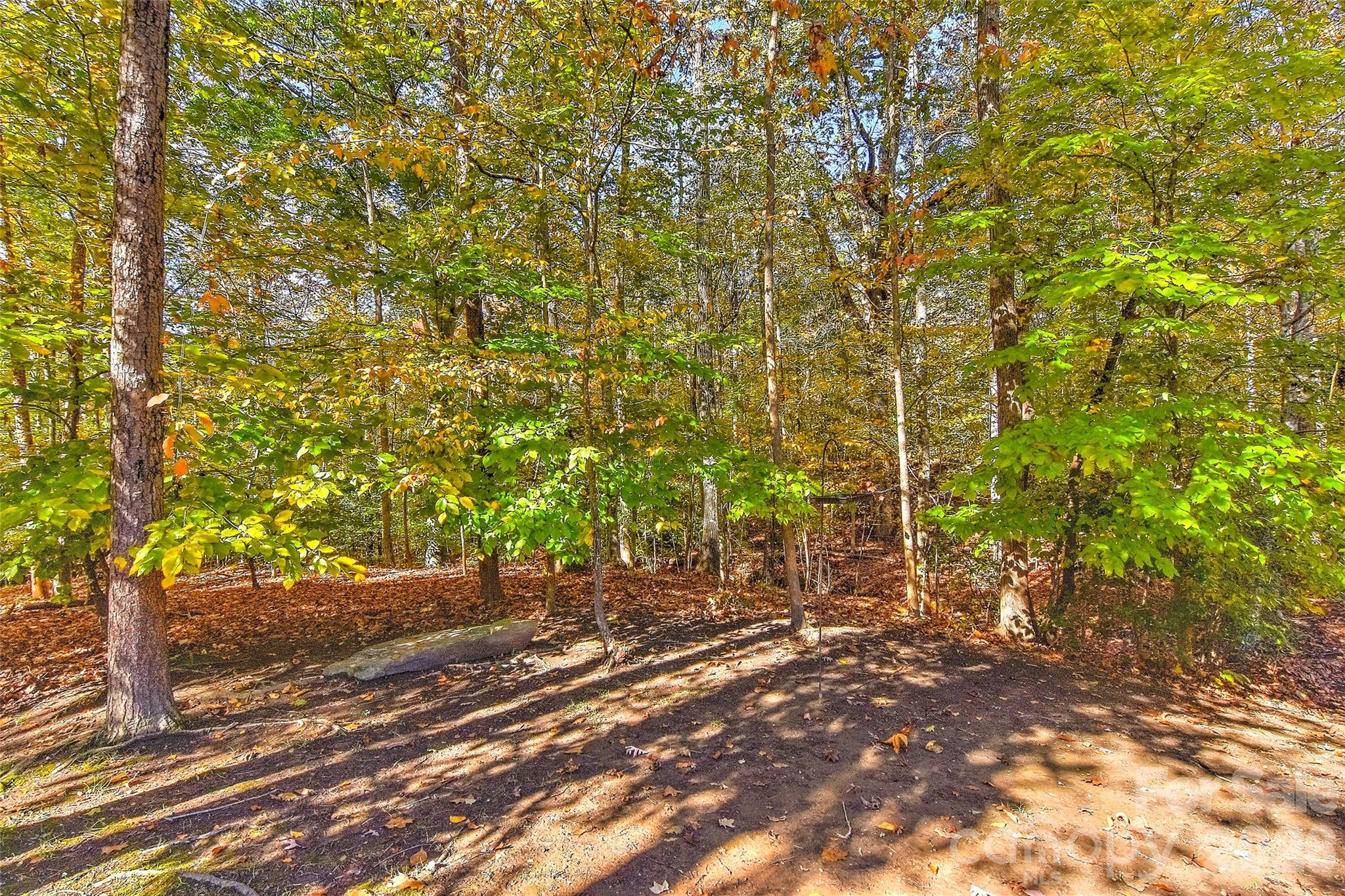 2287 Sweet Clover Way Denver, NC 28037 - Photo 40 of 44 a view of a yard with plants and trees
