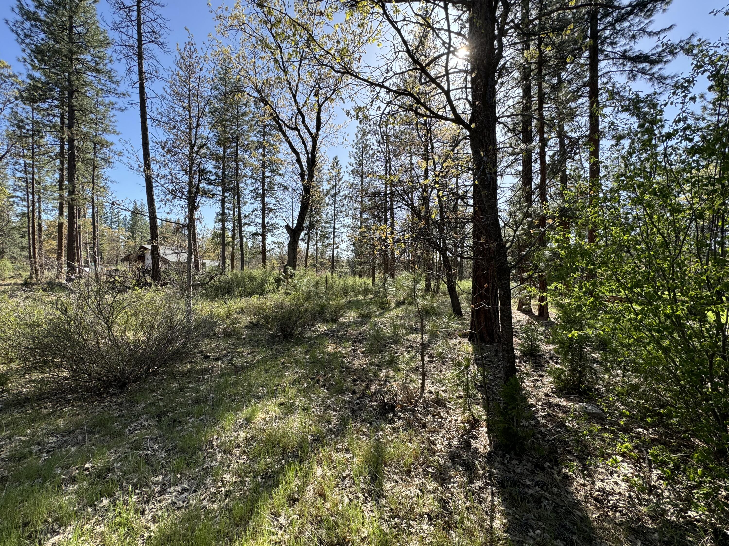 Day Road McArthur, CA 96056 - Photo 18 of 18 20240430_234854181_iOS