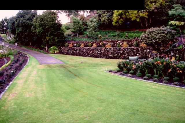 1070 Polipoli Road Kula, HI 96790 - Photo 11 of 20 a view of an outdoor space