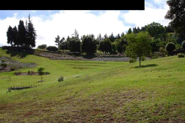 1070 Polipoli Road Kula, HI 96790 - Photo 10 of 20 a view of a golf course with a park