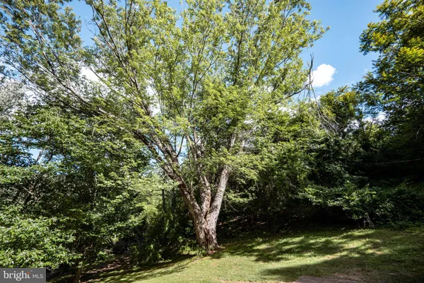 a view of a field with trees in the background