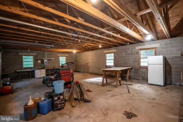 a view of a yard with plants and large trees