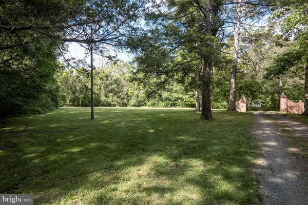 a view of a forest with trees