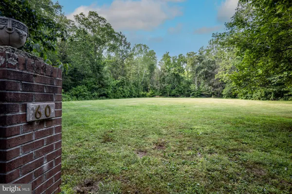 a view of a yard with plants and large trees
