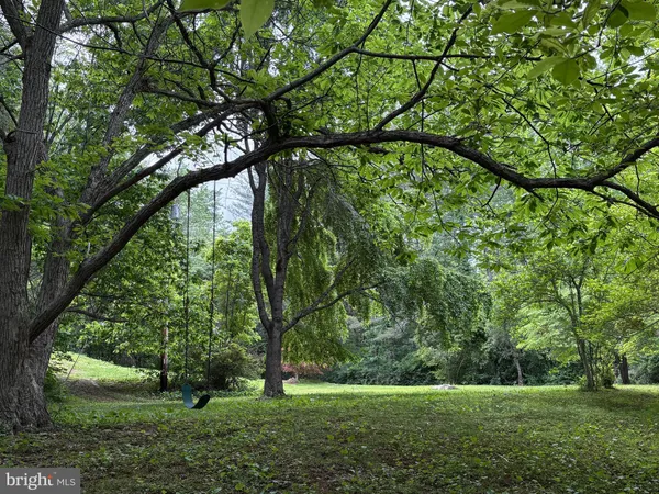 a view of a yard