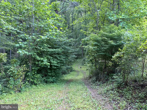 $899,000 | 60 Mountain Breeze Lane, Syria, VA 22743