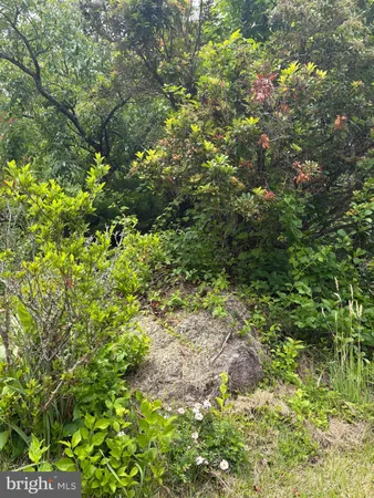 $899,000 | 60 Mountain Breeze Lane, Syria, VA 22743