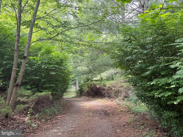 $899,000 | 60 Mountain Breeze Lane, Syria, VA 22743