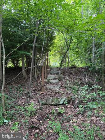 $899,000 | 60 Mountain Breeze Lane, Syria, VA 22743