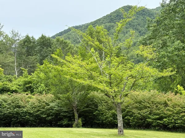 $899,000 | 60 Mountain Breeze Lane, Syria, VA 22743