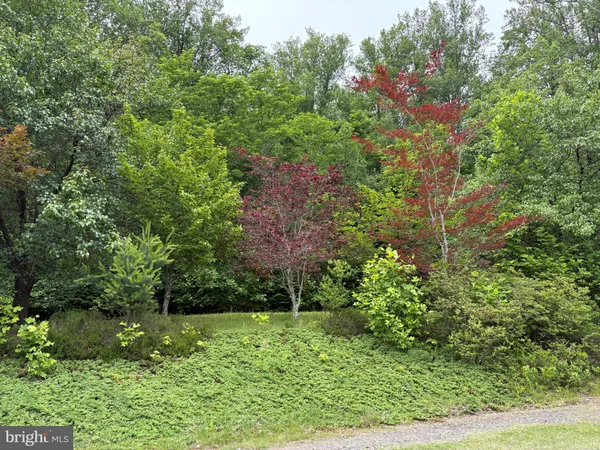 $899,000 | 60 Mountain Breeze Lane, Syria, VA 22743