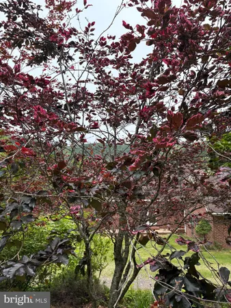 $899,000 | 60 Mountain Breeze Lane, Syria, VA 22743