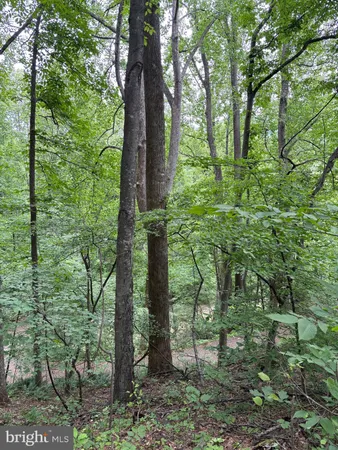 $899,000 | 60 Mountain Breeze Lane, Syria, VA 22743