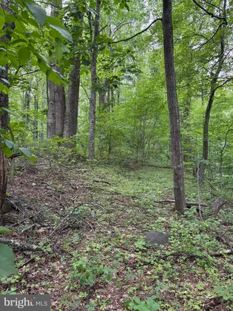 $899,000 | 60 Mountain Breeze Lane, Syria, VA 22743