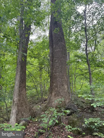 $899,000 | 60 Mountain Breeze Lane, Syria, VA 22743