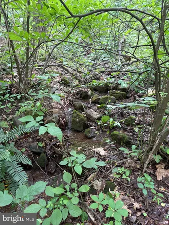 $899,000 | 60 Mountain Breeze Lane, Syria, VA 22743